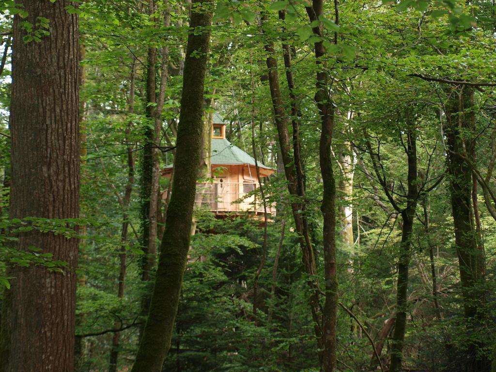 Les cabanes de Kermenguy Cleder Ruang foto