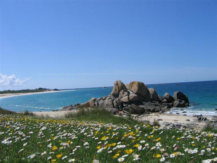 Les cabanes de Kermenguy Cleder Bagian luar foto